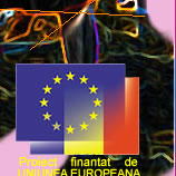 Pentru informatii despre celelalte programe finantate de Uniunea Europeana in Romania, cat si pentru informatii detaliate privind aderarea Romaniei la Uniunea Europeana, va invitam sa vizitati adresa web a Centrului de Informare al Comisiei Europene in Ro
